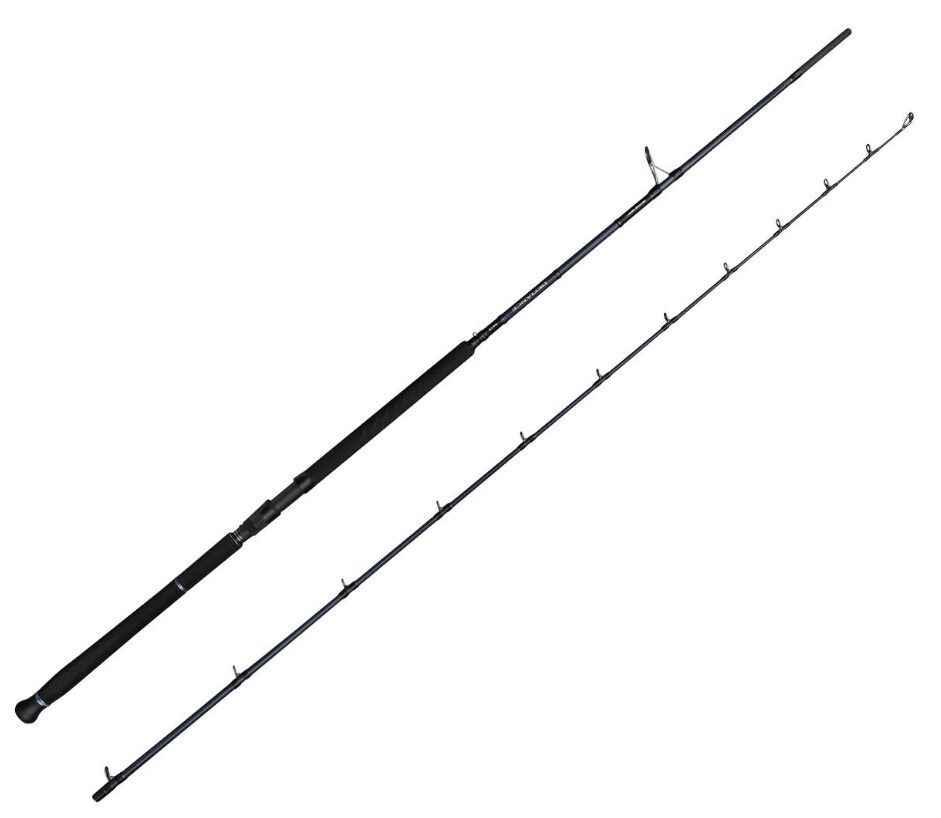 Savage Gear Defiance SG2 Shore Jig 2.90m 20-80gr 2 Parça Olta Kamışı