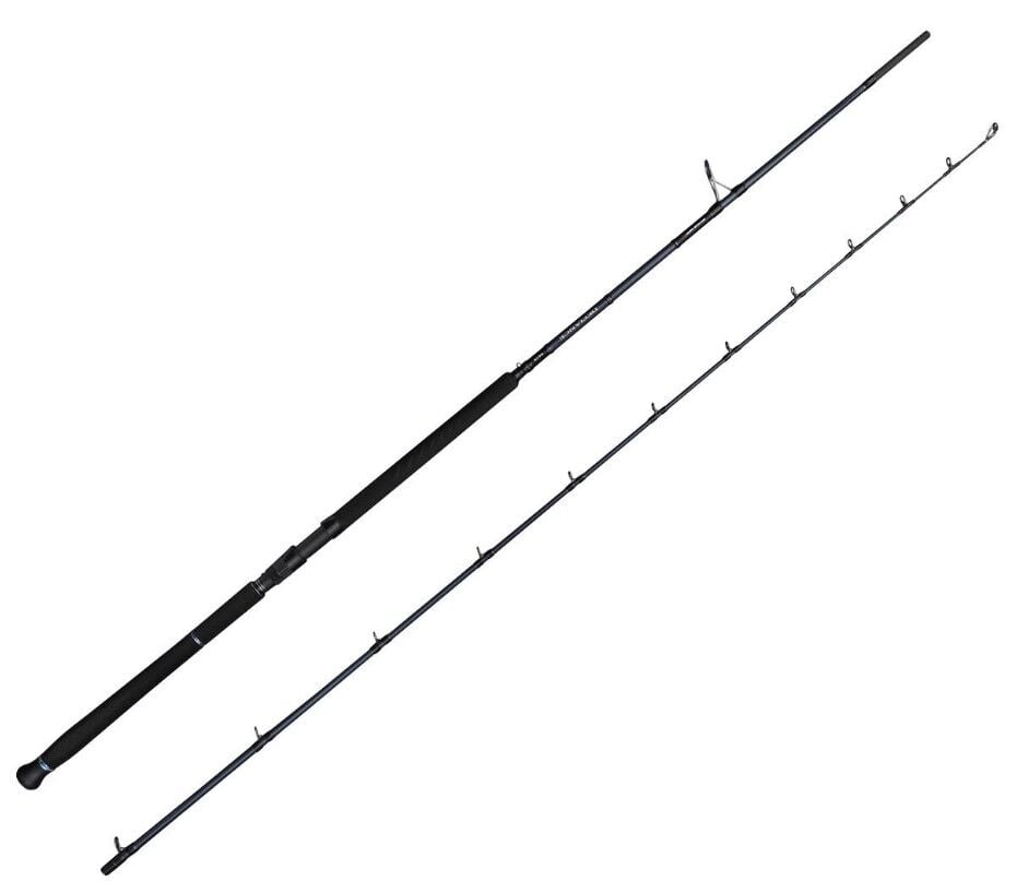 Savage Gear Defiance SG2 Shore Jig 3.05m 30-100gr 2 Parça Olta Kamışı