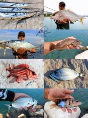 Savage Gear Psycho Sprat LRF Mini Casting Jigs 18gr 3pcs (Turkish Zebra Mix)