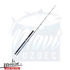 Molix Skirmjan R. 9'6” 2.92cm 2pcs Lure Max 100gr. PE 2.5-4 Regular 3.1 / 2 oz
