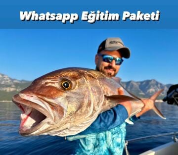 1 AYLIK WHATSAPP EĞİTİM PAKETİ
