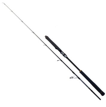 Ryuji Seawolf 1.80m 300-600gr 2P Jig Olta Kamışı